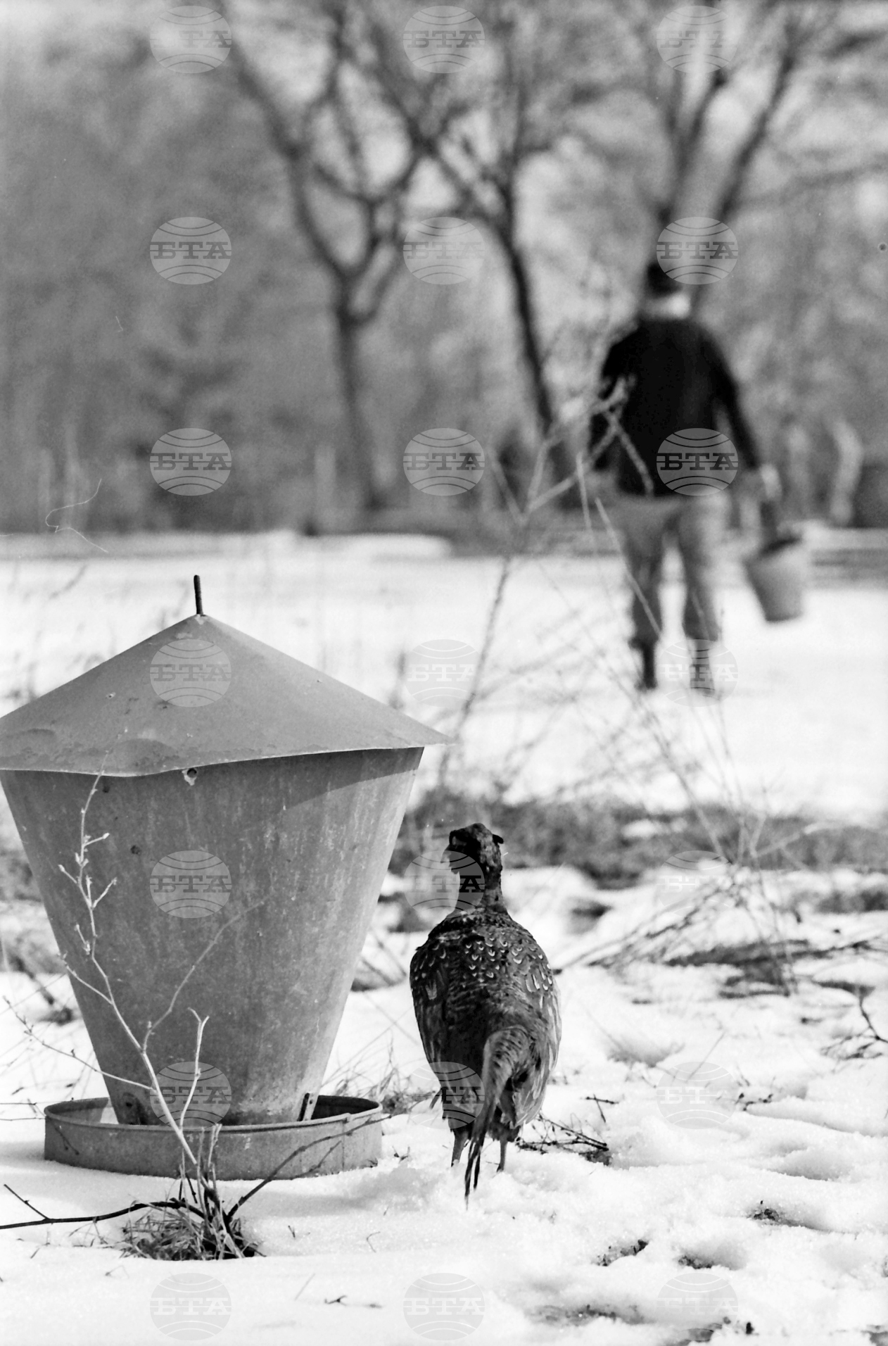 Държавно ловно стопанство – Тракия
