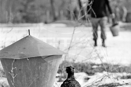 Държавно ловно стопанство – Тракия