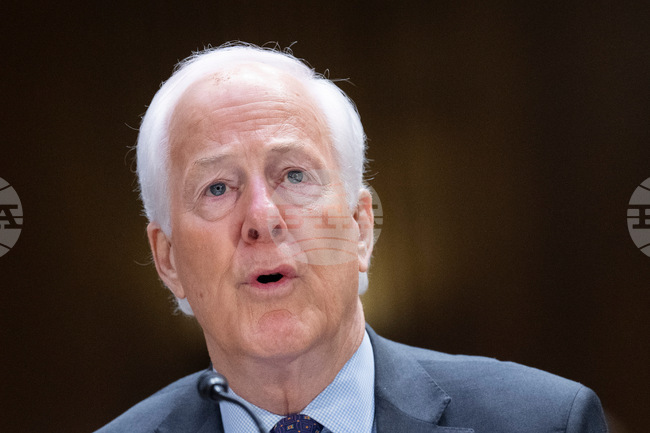 Election 2026 Senate Texas