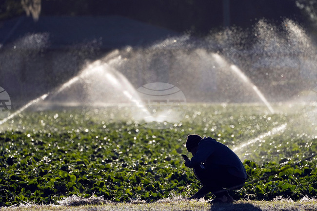 Flozen Florida Weather