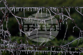 Frozen Florida Weather