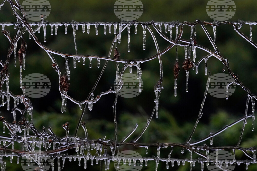 Frozen Florida Weather