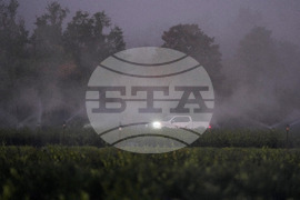 Frozen Florida Weather