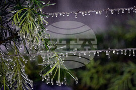 Frozen Florida Weather