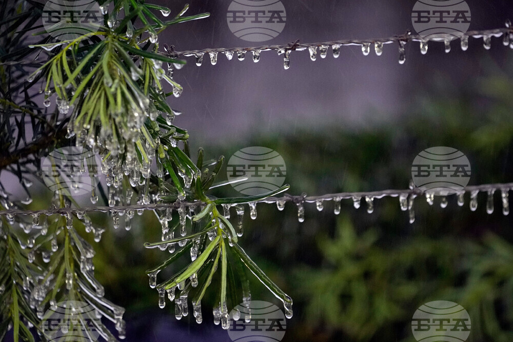 Frozen Florida Weather