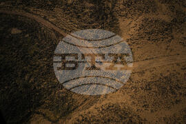 Saudi Arabia Dakar Rally