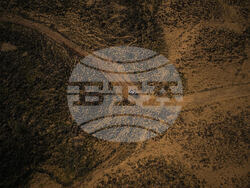 Saudi Arabia Dakar Rally