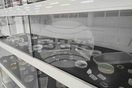 Панагюрище - Избирам България - „Оптикс“ АД