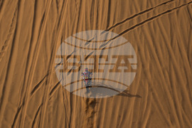 Saudi Arabia Dakar Rally