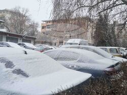 Търговище - снеговалеж - обстановка