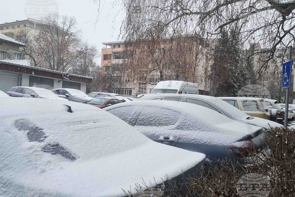 Търговище - снеговалеж - обстановка