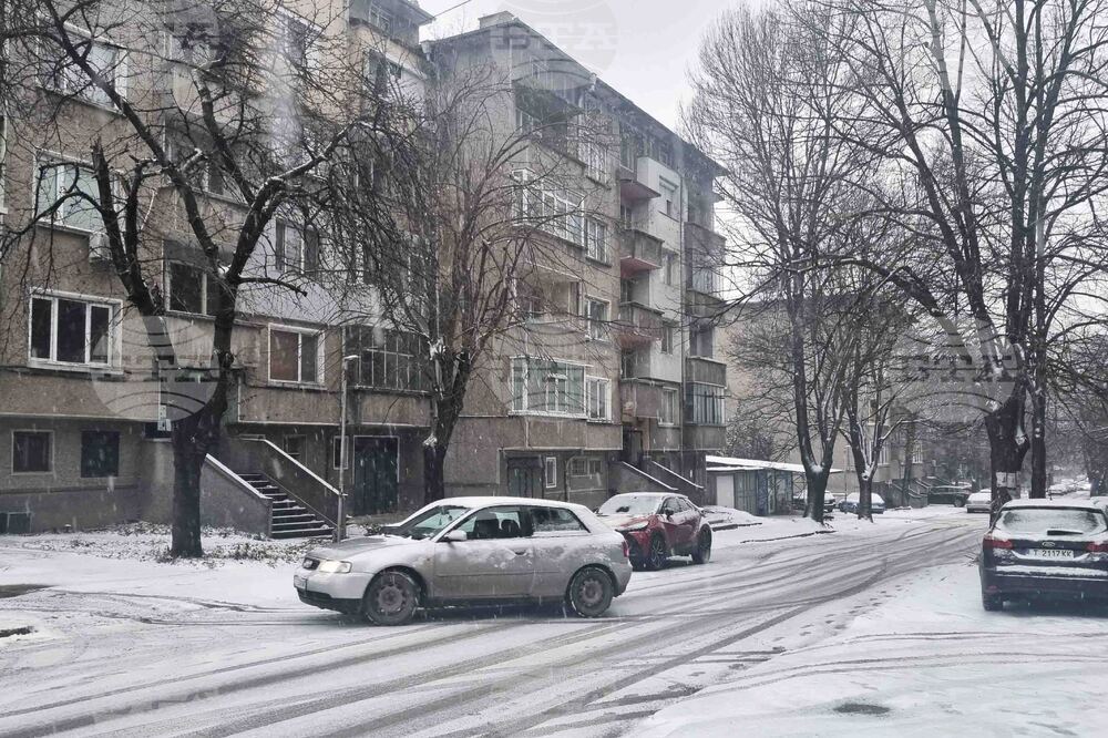 Търговище - снеговалеж - обстановка