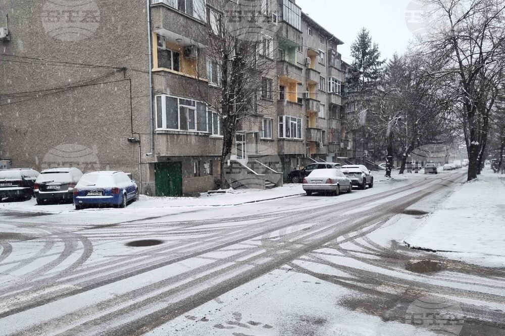 Въпреки снеговалежа, видимостта в област Търговище е добра