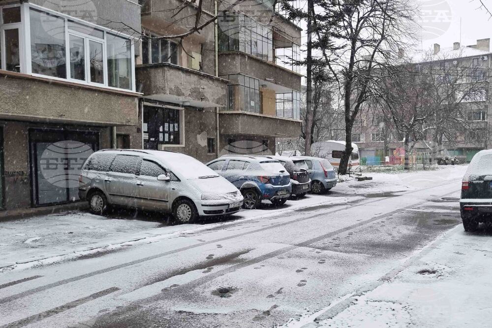 Търговище - снеговалеж - обстановка