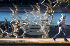 Frozen Florida Weather