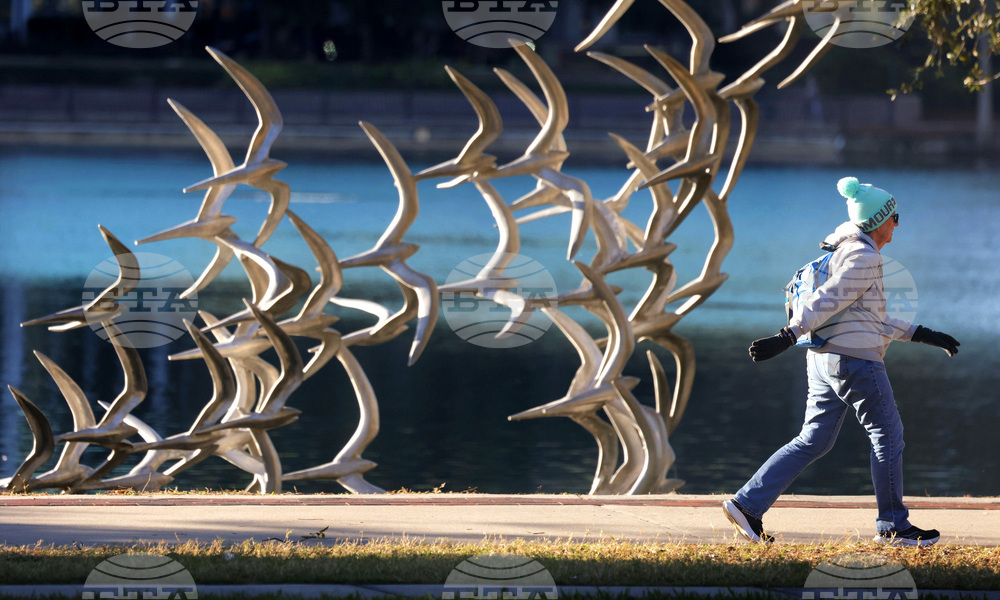 Frozen Florida Weather