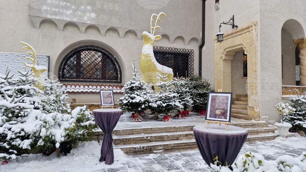 Румъния - Георге Тътъръску - къща-музей