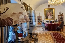 Румъния - Георге Тътъръску - къща-музей