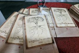 Стара Загора - проект „неВИДИМИТЕ“ - представяне