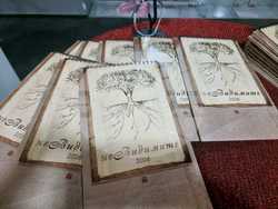 Стара Загора - проект „неВИДИМИТЕ“ - представяне