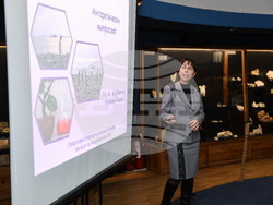 Пловдив - „Огън и лед“ - изложба - Снежана Русинова-Видева