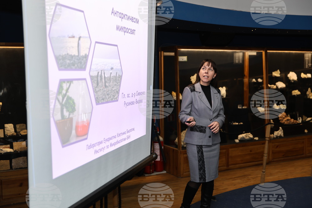 Пловдив - „Огън и лед“ - изложба - Снежана Русинова-Видева