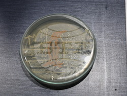 Пловдив - „Огън и лед“ - изложба