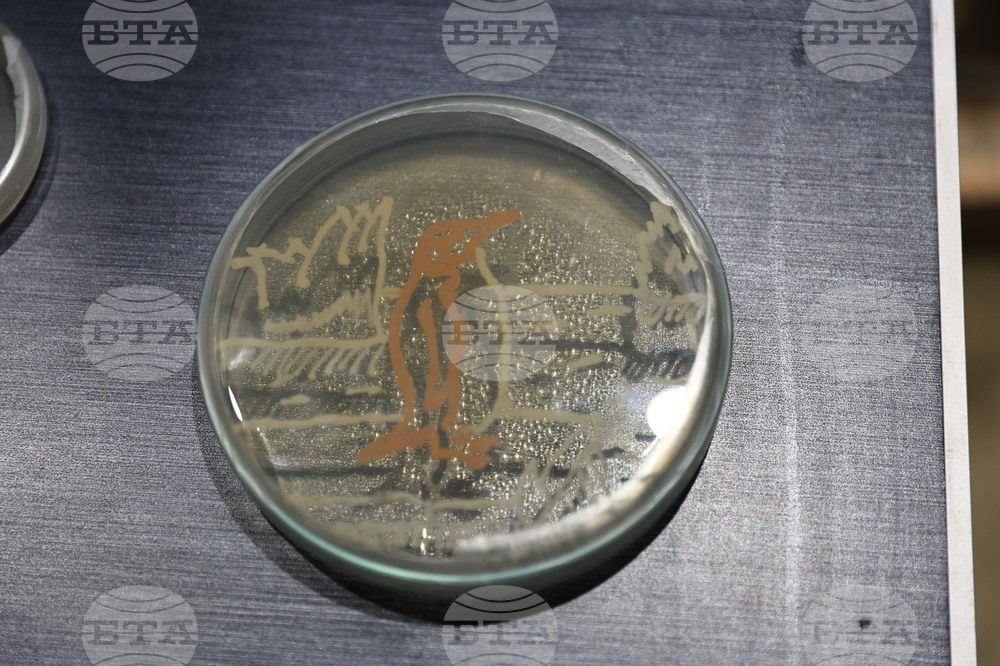 Пловдив - „Огън и лед“ - изложба