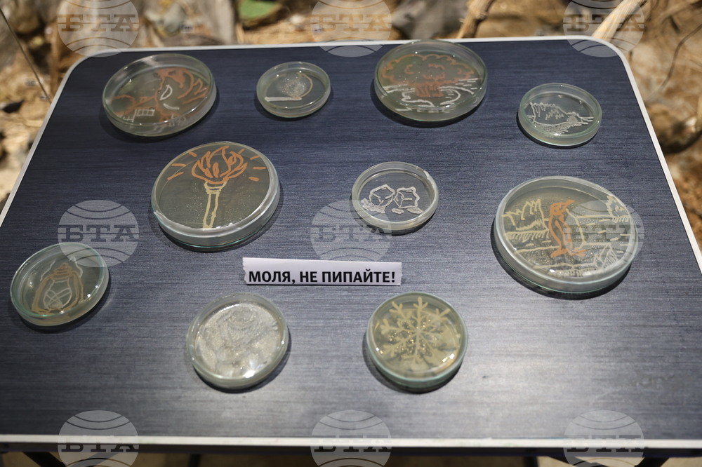 Пловдив - „Огън и лед“ - изложба