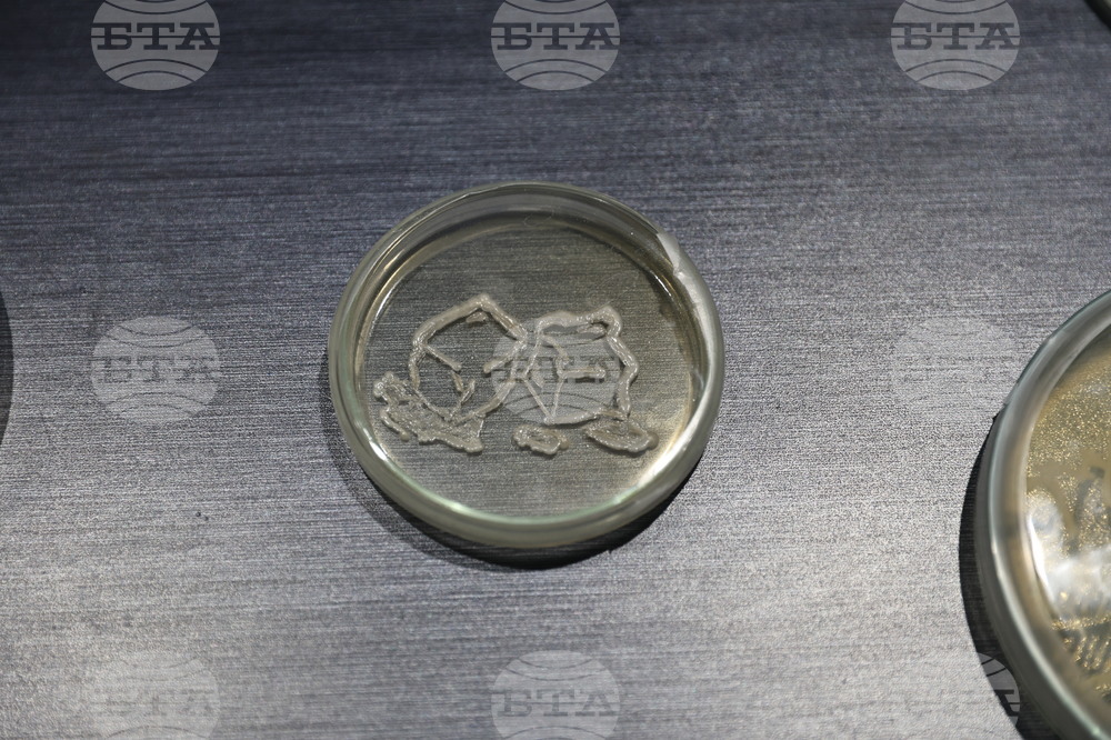 Пловдив - „Огън и лед“ - изложба