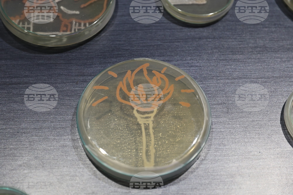 Пловдив - „Огън и лед“ - изложба