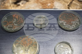 Пловдив - „Огън и лед“ - изложба