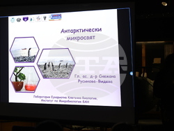 Пловдив - „Огън и лед“ - изложба