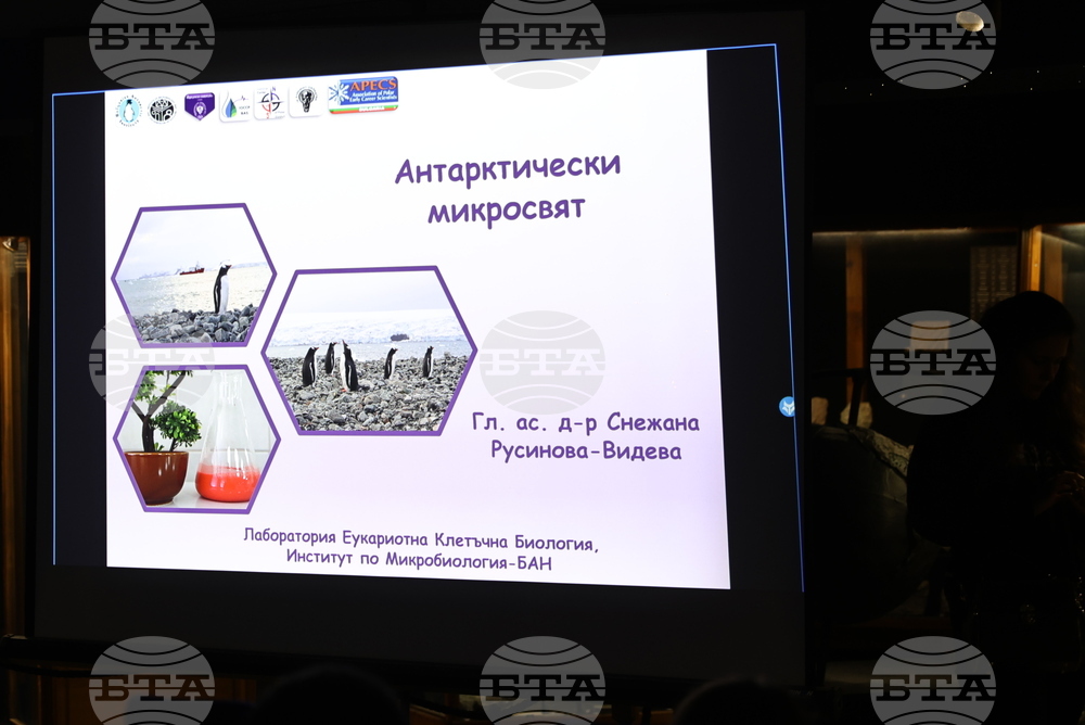 Пловдив - „Огън и лед“ - изложба