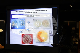 Пловдив - „Огън и лед“ - изложба