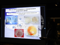 Пловдив - „Огън и лед“ - изложба