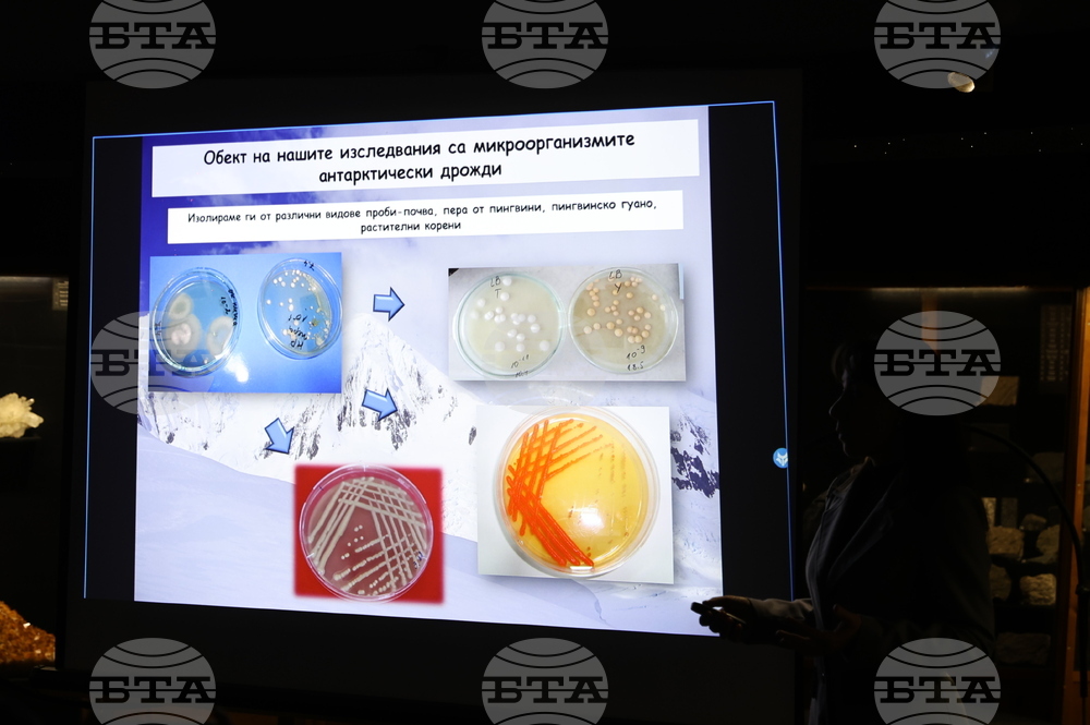 Пловдив - „Огън и лед“ - изложба