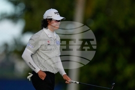 Sony Open Golf