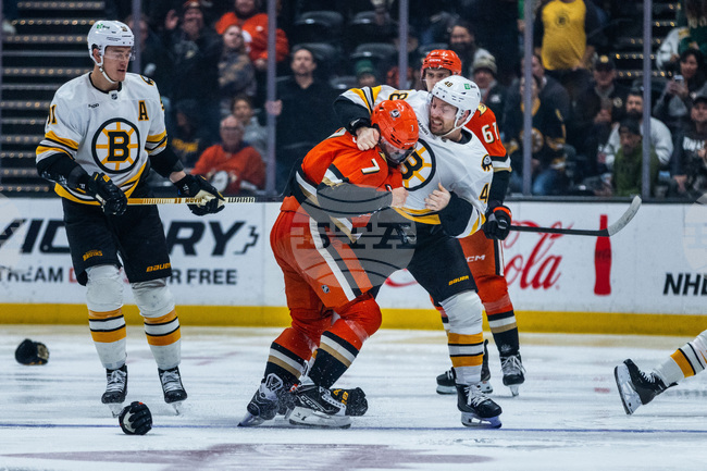 Bruins-Ducks Trade Hockey