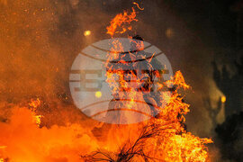 APTOPIX Spain Saint Anthony Animals