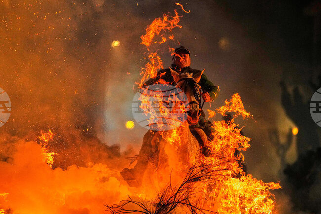 APTOPIX Spain Saint Anthony Animals