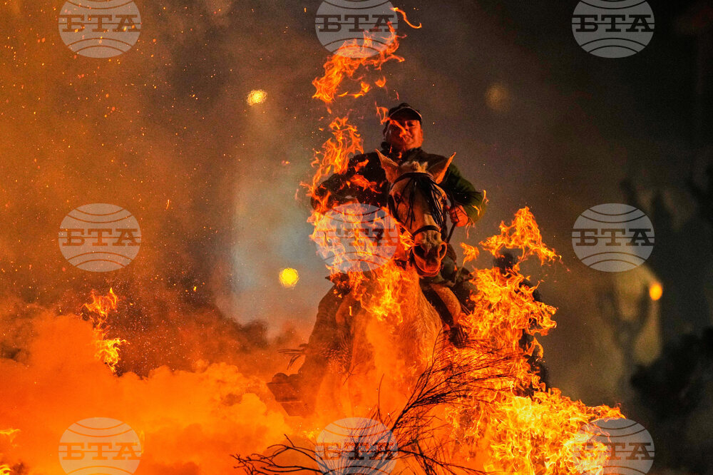 APTOPIX Spain Saint Anthony Animals