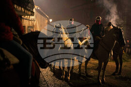 Spain Saint Anthony Animals