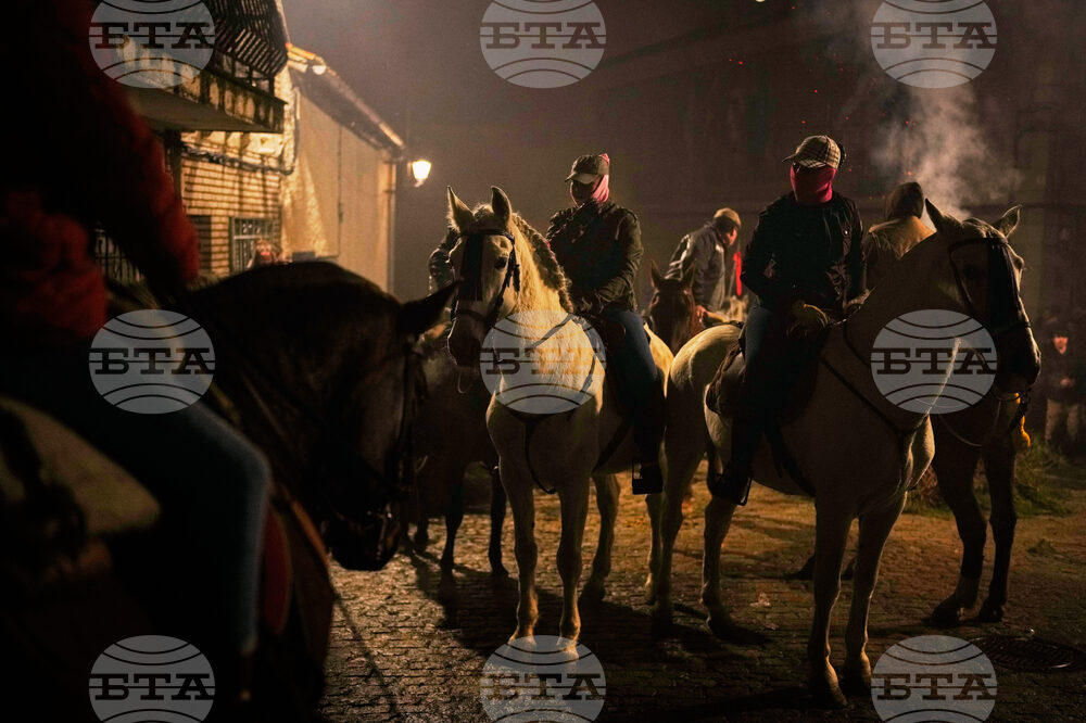 Spain Saint Anthony Animals