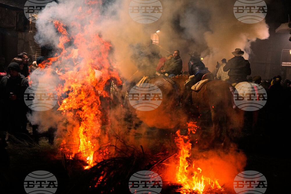 Spain Saint Anthony Animals