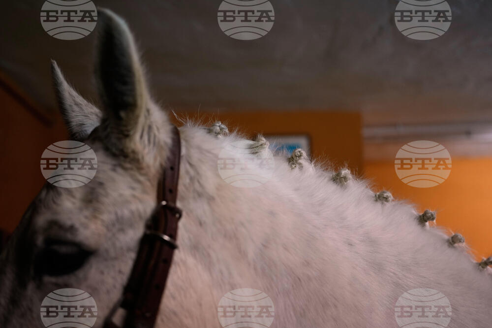 Spain Saint Anthony Animals