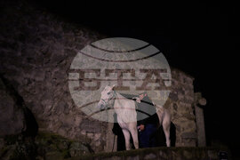 Spain Saint Anthony Animals