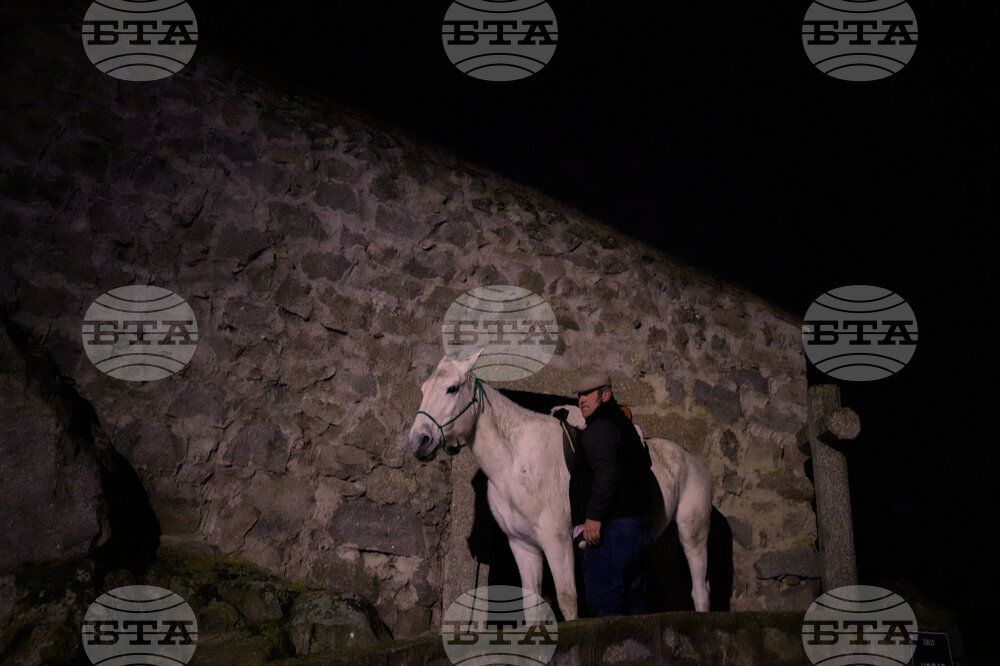 Spain Saint Anthony Animals
