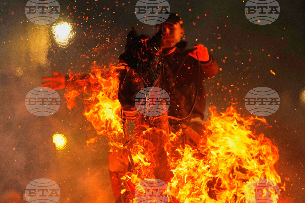 Spain Saint Anthony Animals
