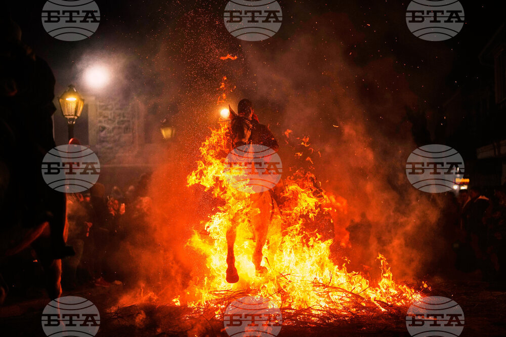 Spain Saint Anthony Animals